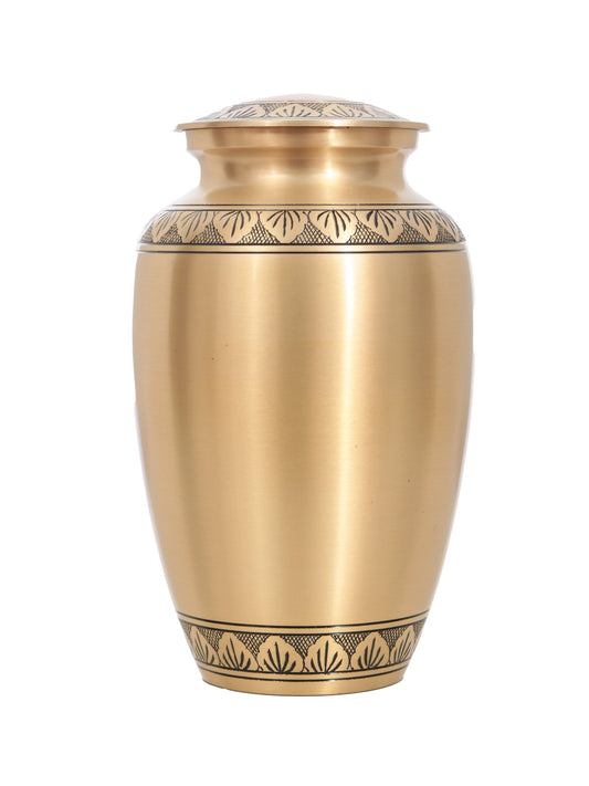 Athena Bronze